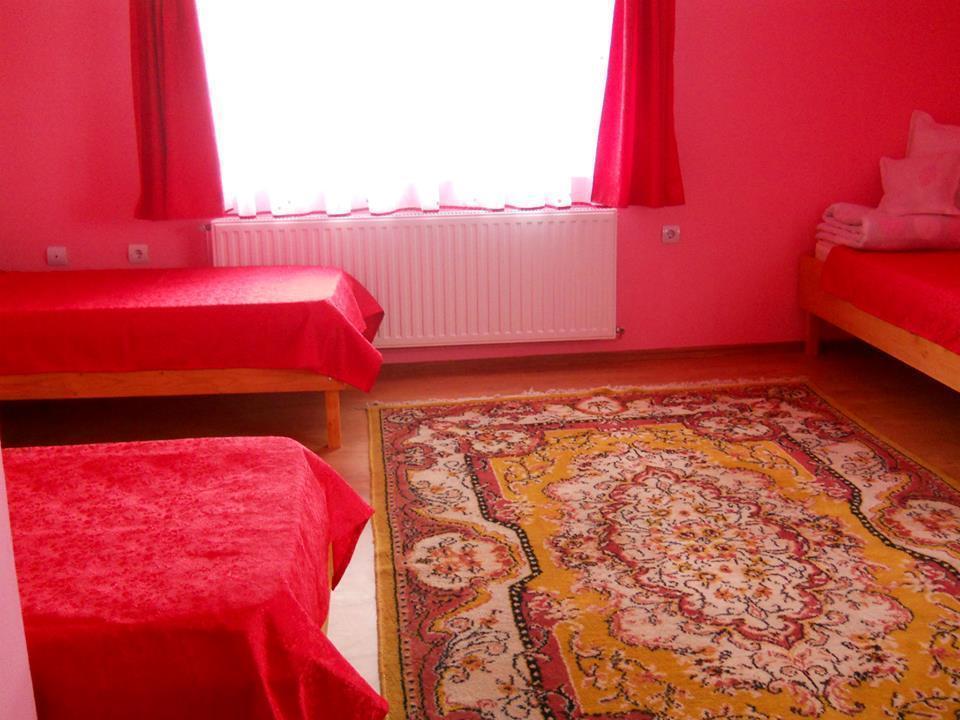 Отель Ersa Panzio Bisericani  Номер фото