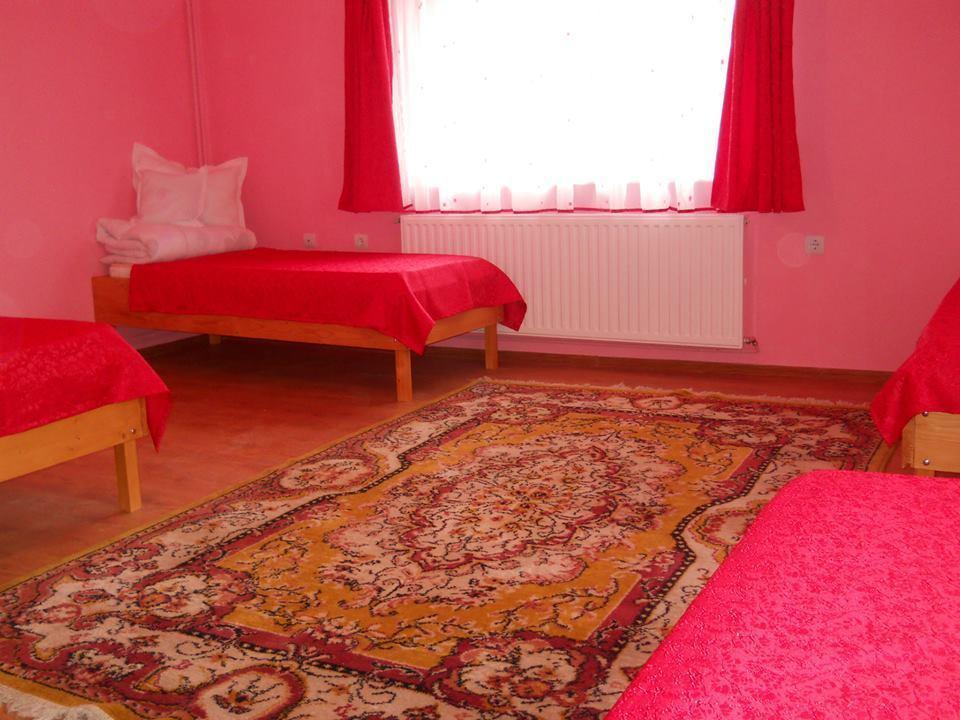 Отель Ersa Panzio Bisericani  Экстерьер фото